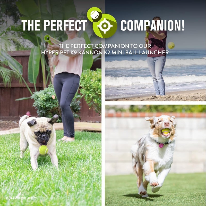 Hyper Pet Mini Tennis Balls for Dogs - Safe and Fun Fetch Toy for Small Dogs - 4 Pack - Image 3