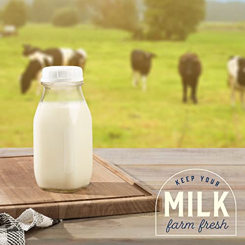 kitchentoolz Glass Creamer Bottle 12 Oz Square Glass Milk Bottle with Lids- Perfect Milk Container for Refrigerator - 12 Ounce Milk Bottle with Lid and Pour Spout - Image 3