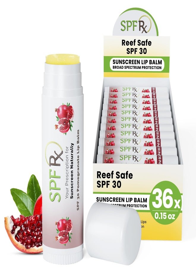 SPF Rx SPF 30 Pomegranate Lip Balm without OMC and OXY - Reef Safe 36 pack - Image 1
