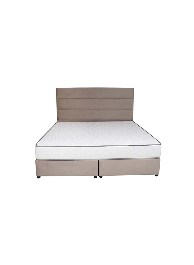Bed and Mattress Zone Serenity Upholstered Bed 203 X 160 Queen Size Muted Beige Color, Mattress Size-200x160cm (Mattress sold separately)  - Image 3