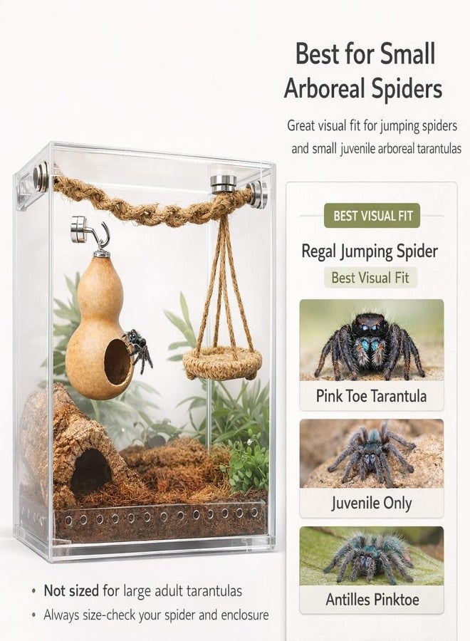 kcrygogo Jumping Spider Hide, Climb & Perch Set, Magnetic Gourd Hide, Rope Bridge & Spider Hammock for Small Arboreal Enclosures - Image 5