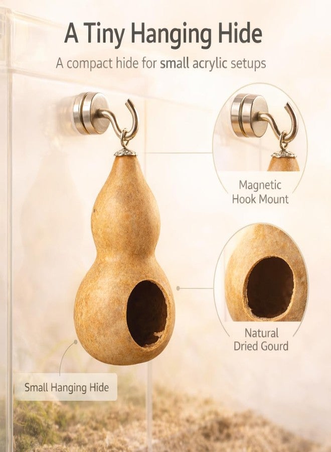 kcrygogo Jumping Spider Hide, Climb & Perch Set, Magnetic Gourd Hide, Rope Bridge & Spider Hammock for Small Arboreal Enclosures - Image 4