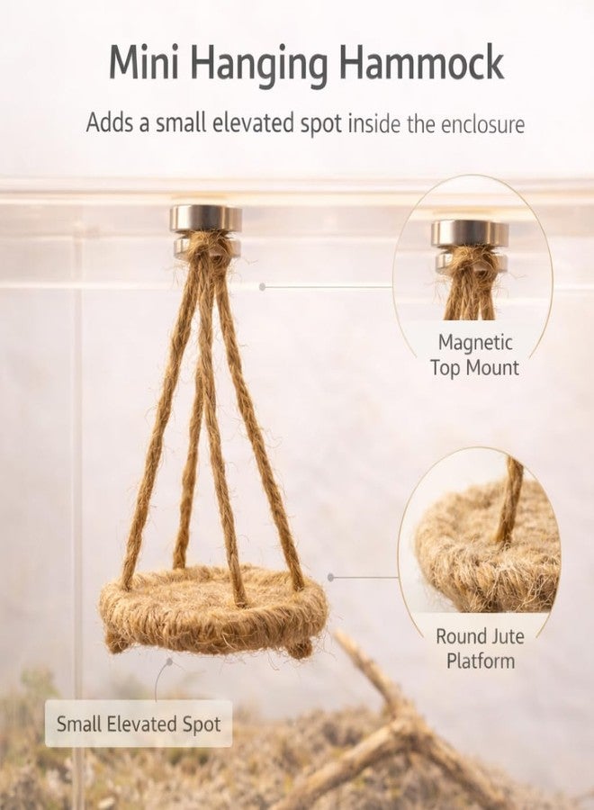 kcrygogo Jumping Spider Hide, Climb & Perch Set, Magnetic Gourd Hide, Rope Bridge & Spider Hammock for Small Arboreal Enclosures - Image 3