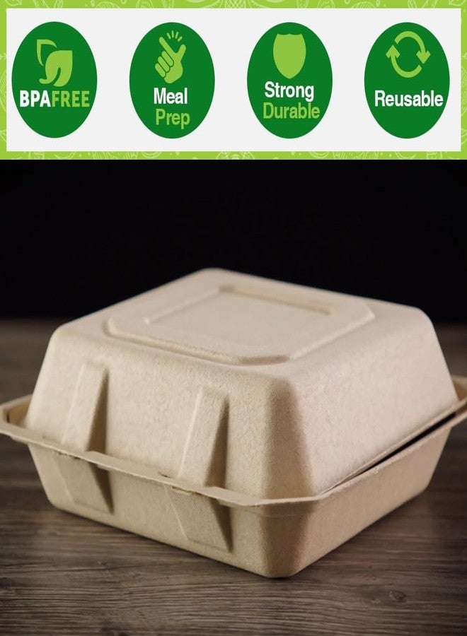 Perfectware 100% Compostable 3 Comp Take Out Food Containers 9 x9 Inch. 40 Count Heavy-Duty Quality to Go Containers, Natural Disposable Bagasse, Eco-Friendly Biodegradable Made of Sugar Cane - Image 2