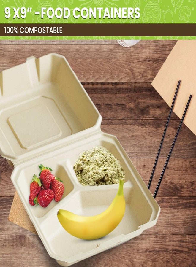 Perfectware 100% Compostable 3 Comp Take Out Food Containers 9 x9 Inch. 40 Count Heavy-Duty Quality to Go Containers, Natural Disposable Bagasse, Eco-Friendly Biodegradable Made of Sugar Cane - Image 3