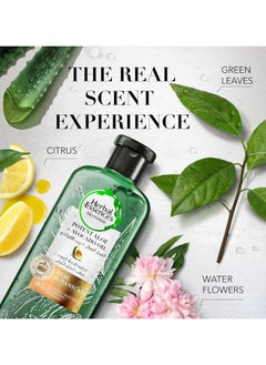 Herbal Essences Aloe Vera and Avocado Oil Shampoo  - Image 3