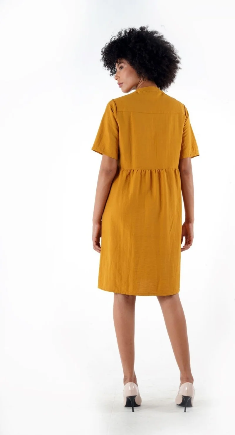 الكسندر جاردي Buttoned Mandarin Collar Comfort Dress (B24-384 00)