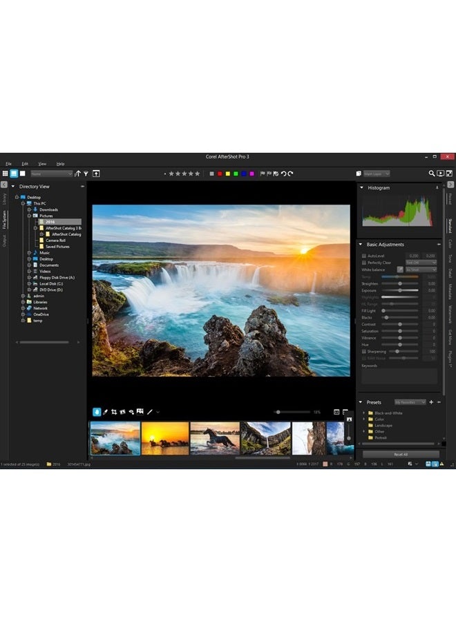 Corel AfterShot Pro 3 | RAW Photo Editing Software [PC/Mac Key Card]