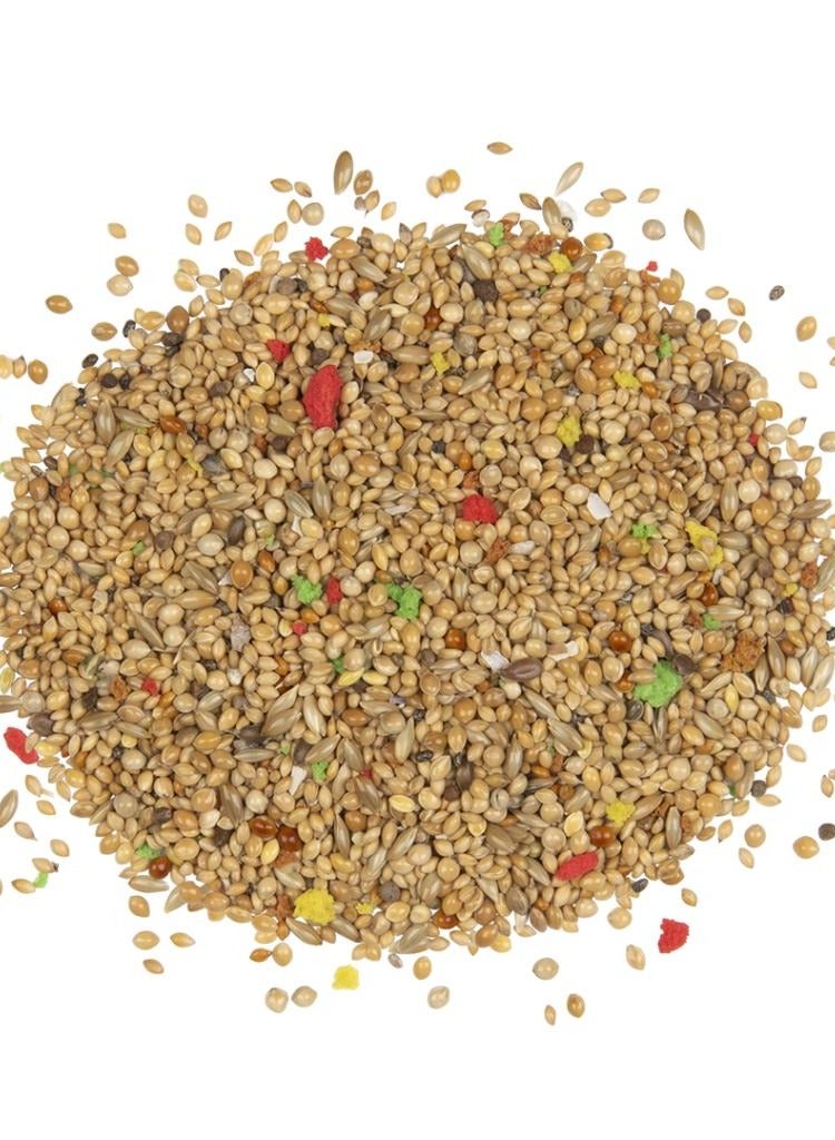 Witte Molen Finch Bird Food 600g - Complete Bird Food Seed Mix for All Types of Finches - Image 2