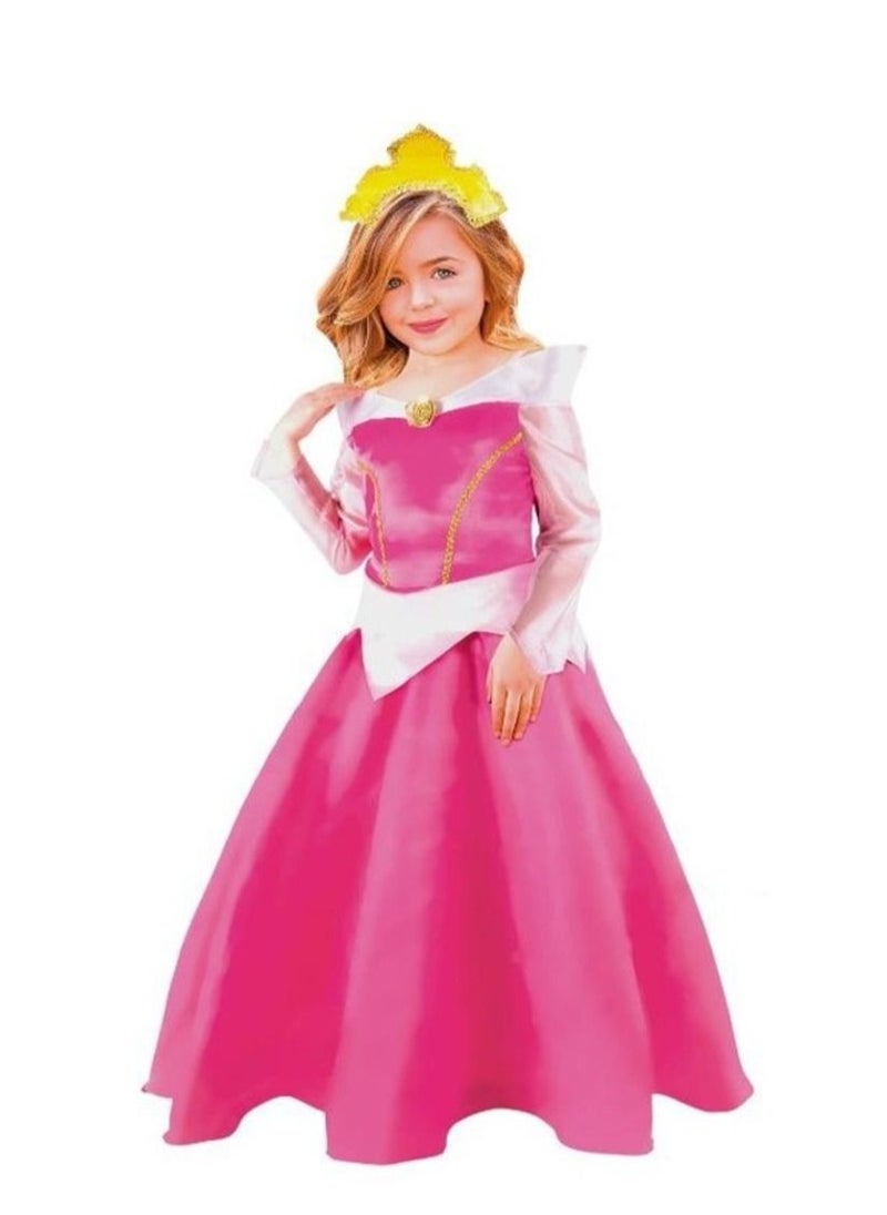 Oulabi Mir - Princess Pink  Costume 4-5 Years Old - Image 1
