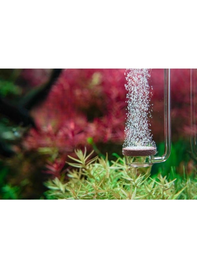 Aquarium Co2 Diffuser Special Normal Type - 3 Sizes - Image 1