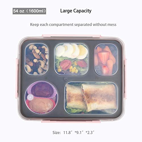 NIJEK STORE Big Size Leakproof 5 Compartment Lunch Boxes Reusable Microwave Freezer Safe Stainless Steel Thermal Insulation Snack Food Containers for Adults and Kids (Multicolor) - Image 4