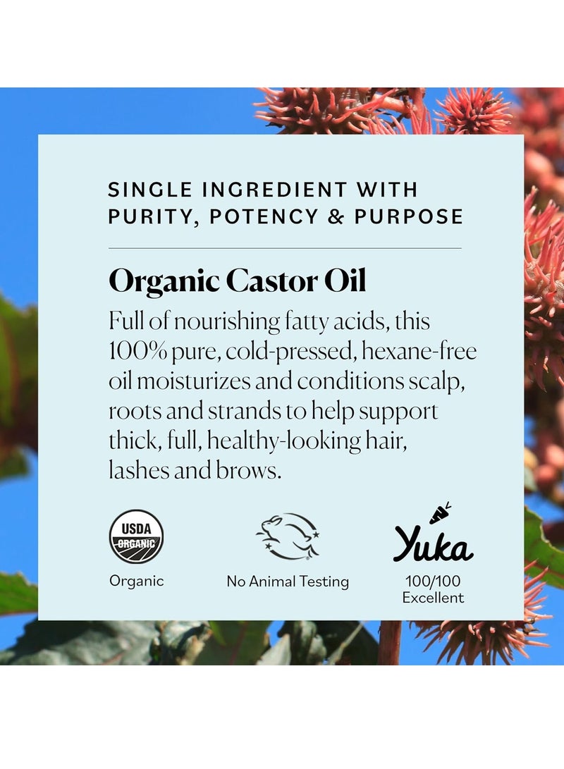 Sky Organics Sky Organics - Castor Oil Organic - Volumizing Hair Oil - Scalp, Lashes, Brows - Pure Castor Oil Cold Pressed - Natural Conditioner - Omega Fatty Acids, Vegan - Beauty, Hair Care - 8oz  - Image 3