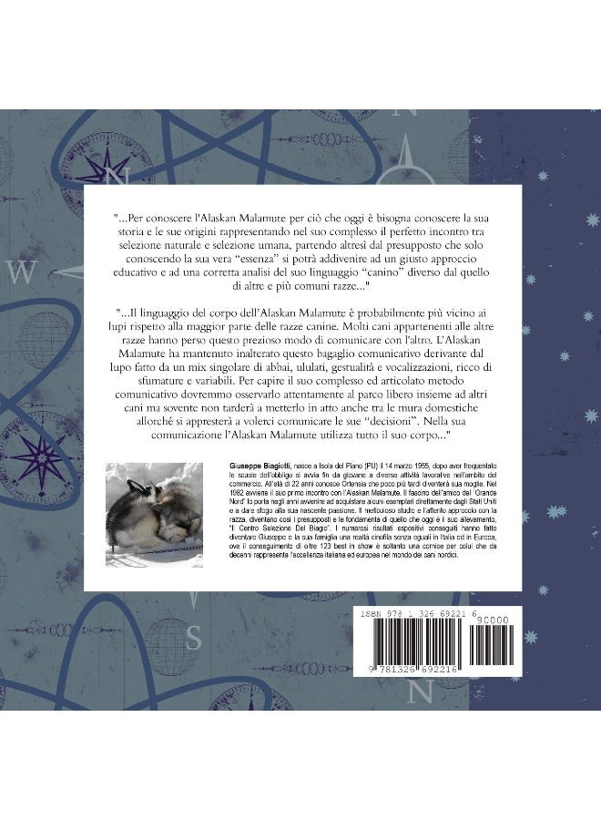 Conoscere l'Alaskan Malamute - Il fedele "amico" del Grande Nord - Image 2