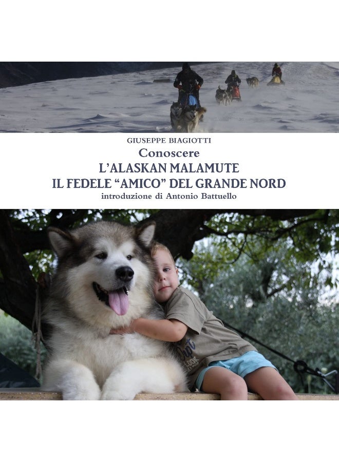 Conoscere l'Alaskan Malamute - Il fedele "amico" del Grande Nord - Image 1