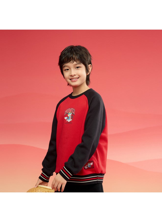Balabala Fleece-lined Chinese Style Printed Kids' Hoodie With Embroidery, Boys' Long-sleeve Loose Top - 2025 Spring New Arrival Children's Clothing - Image 3