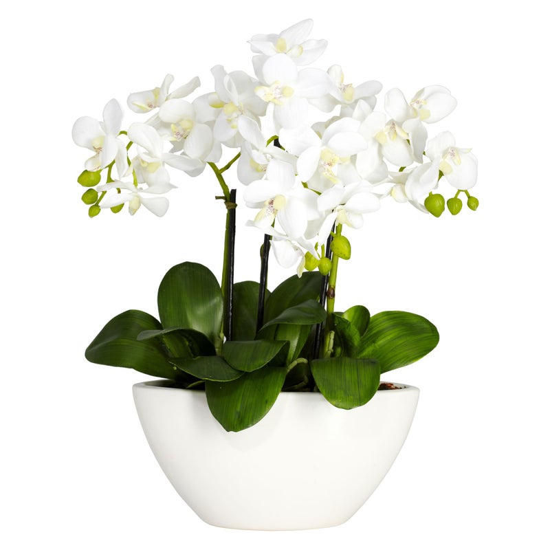 Nearly Natural Phalaenopsis Silk Flower Arrangement - Image 1