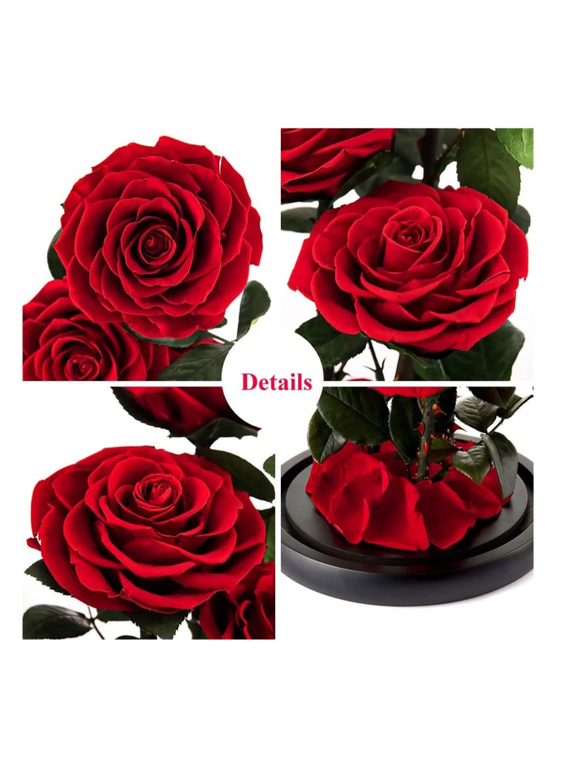 Scrolls Handmade Preserved Rose Forever Never Withered Flowers,Gift for Wedding,Anniversary,Birthday, Mother's Day Gift, Best Gift for Her Rose (Single Rose, RED) 14x22cm - Image 5