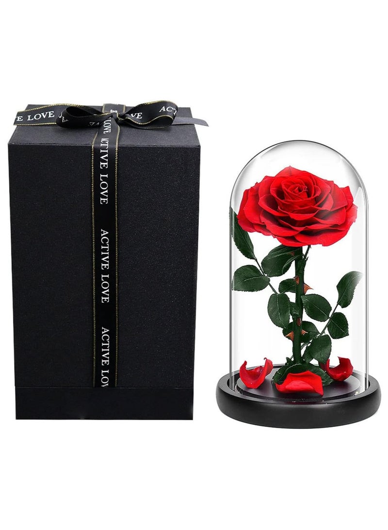 Scrolls Handmade Preserved Rose Forever Never Withered Flowers,Gift for Wedding,Anniversary,Birthday, Mother's Day Gift, Best Gift for Her Rose (Single Rose, RED) 14x22cm - Image 1
