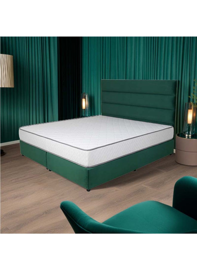 Bed and Mattress Zone Serenity Upholstered Bed 200x200 Super King Size Green Color  - Image 1