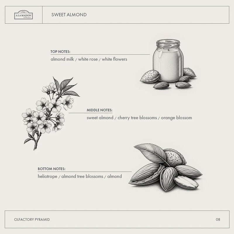 A LA MAISON French Liquid Hand Soap, Almond - Natural Hand Wash Made with Essential Oils - Biodegradable, Plant-Based, Vegan, Cruelty-Free, Alcohol & Paraben Free (16.9 oz, 3 Pack) - Image 5