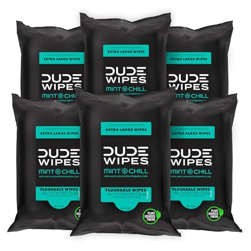 DUDE Wipes - Flushable Wipes Travel Pack - 6 Pack, 108 Count - Mint Chill Extra-Large - Vitamin-E, Aloe Vera, Eucalyptus, and Tea Tree Oils - Septic and Sewer - Image 1