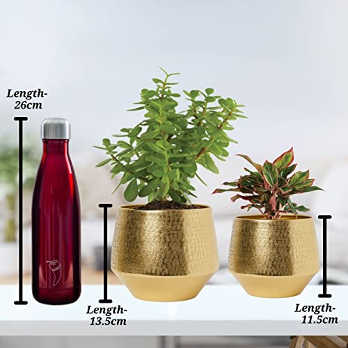 ecofynd 6 inches, Pack of 2 Eion Metal Plant Pot, Decorative Modern Indoor Planter Flower Pots, Home Garden Decor Planter for Living Room Bedroom Interior (Gold, POT022) - Image 3