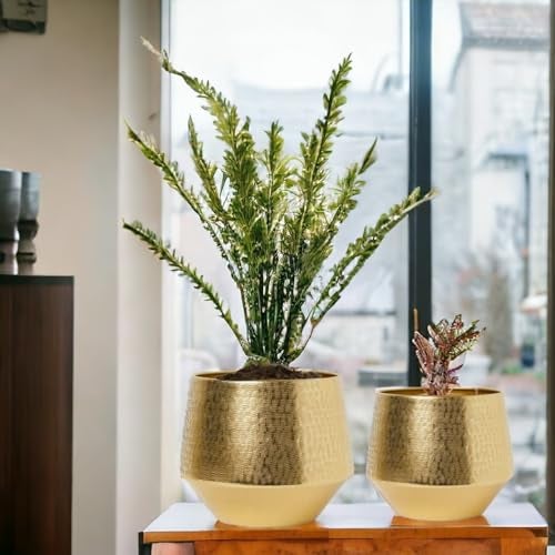 ecofynd 6 inches, Pack of 2 Eion Metal Plant Pot, Decorative Modern Indoor Planter Flower Pots, Home Garden Decor Planter for Living Room Bedroom Interior (Gold, POT022) - Image 2