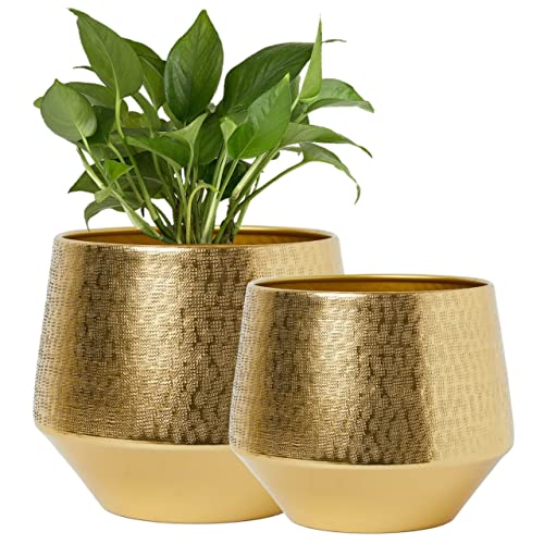ecofynd 6 inches, Pack of 2 Eion Metal Plant Pot, Decorative Modern Indoor Planter Flower Pots, Home Garden Decor Planter for Living Room Bedroom Interior (Gold, POT022) - Image 1