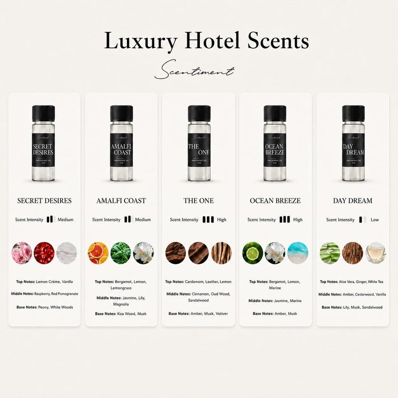 Scentiment Luxury Hotel Scents – 5 Diffuser Oil Set | Secret Desires, Day Dream, The One, Ocean Breeze & Amalfi Coast | Fresh Floral, Woody & Citrus Scents Home Fragrance Oils 5 x 0.68 fl oz (20 mL) - Image 3