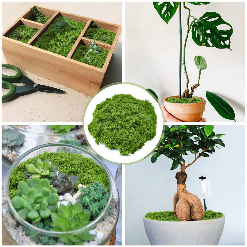 Aifong Fake Green Moss for Crafts 5.3 Oz Decorative Artificial Moss for Crafts Decorative Faux Moss Table Centerpieces Wedding Party Decor Fairy Garden Floral DIY - Image 2