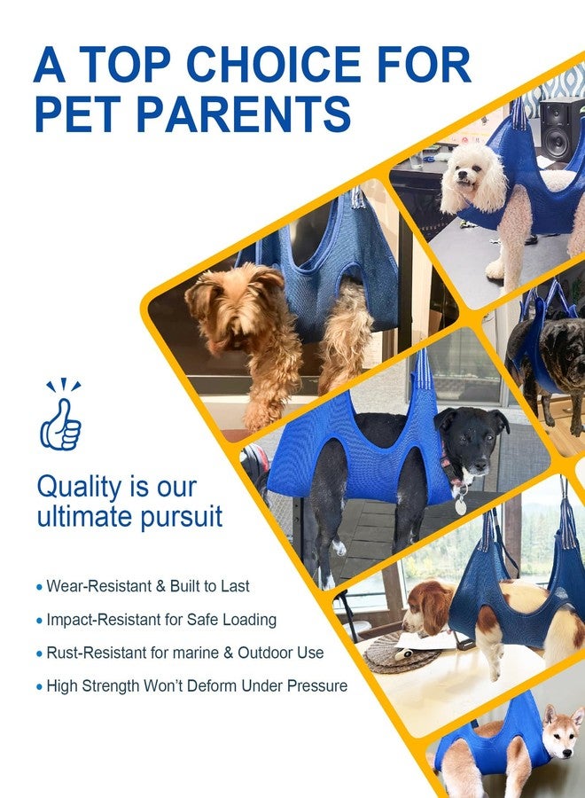 قسم تزيين الكلاب - Image 5