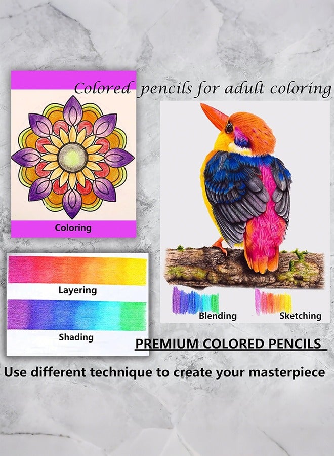 كالور أقلام تلوين من KALOUR لكتاب التلوين للكبار، مجموعة من 72 لونًا، فنانين ناعمين مع لون نابض بالحياة، مثالية لرسم تظليل الرسم، أقلام تلوين للكبار والمبتدئين والأطفال - Image 4