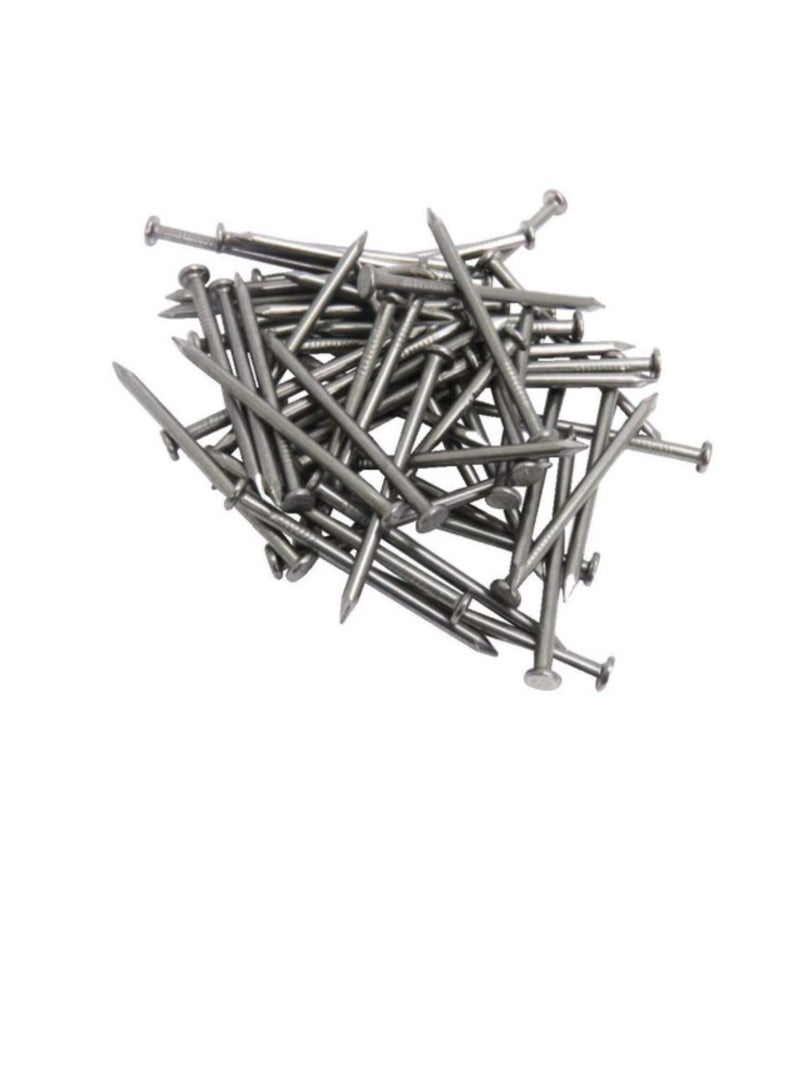 High Strength Round Head Nails For Carpentry Hardware Electrical Etc (100, 5 inch) - Image 3