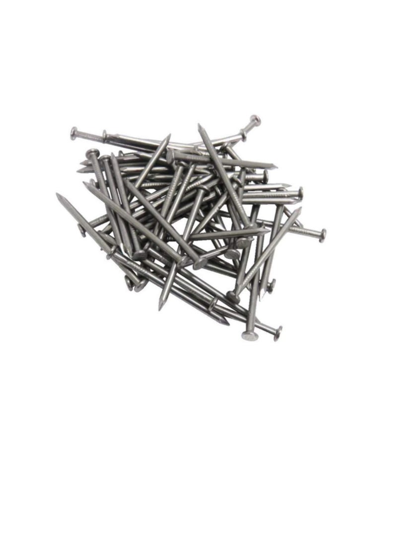 High Strength Round Head Nails For Carpentry Hardware Electrical Etc (100, 5 inch) - Image 2