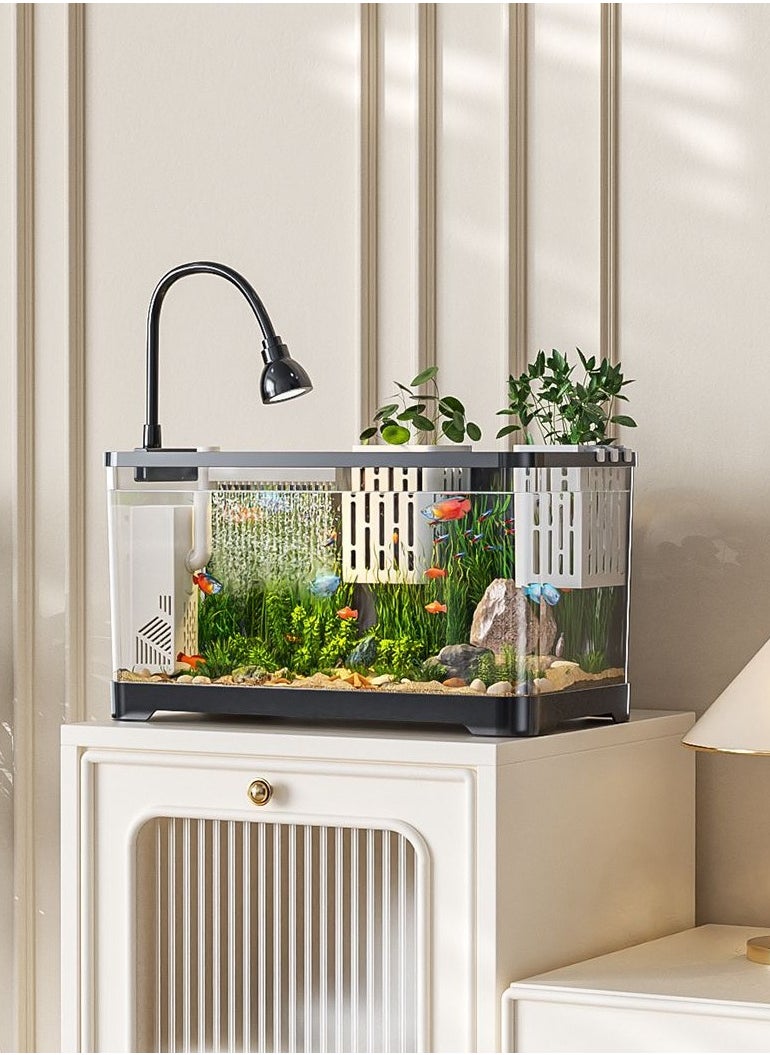 Generic - Fish Tank Kit Glass Fish Bowl with Oxygen Air Pump，Filter，Light，Plants Holder，Pebbles，Scallop Shells for Home  Aquarium（55*30*29.4cm) - Image 1