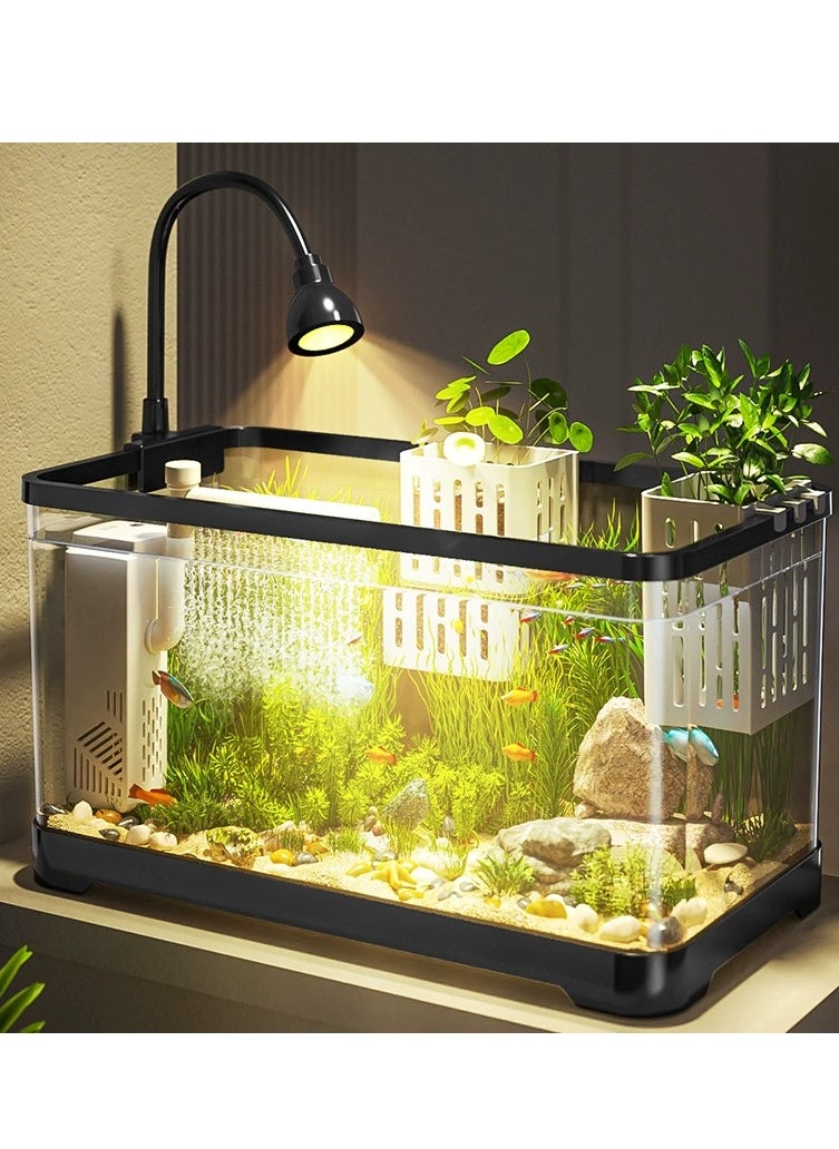 Generic - Fish Tank Kit Glass Fish Bowl with Oxygen Air Pump，Filter，Light，Plants Holder，Pebbles，Scallop Shells for Home  Aquarium（55*30*29.4cm) - Image 1