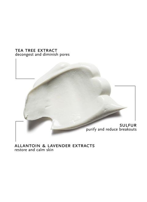 Tea Tree Mask - Tea Tree Extract, Grapefruit Extract, Sulphur + Lavender Extract Clears Breakouts + Calms Skin. Made In The USA