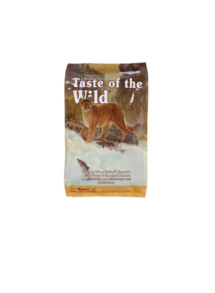 تيست أوف ذا وايلد كانيون ريفر فلين طعام القطط الجاف - Image 2