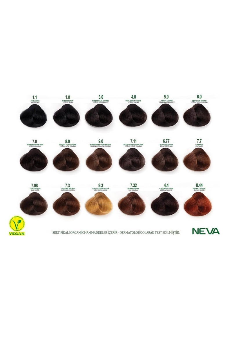NEVA Naturalis Permanent Hair Color, Vegan,100% Gray Coverage, Organic, No Harmful Chemicals, Ammonia Free, Long-Lasting - INTENSE LIGHT BLONDE - 8.0 - Image 5