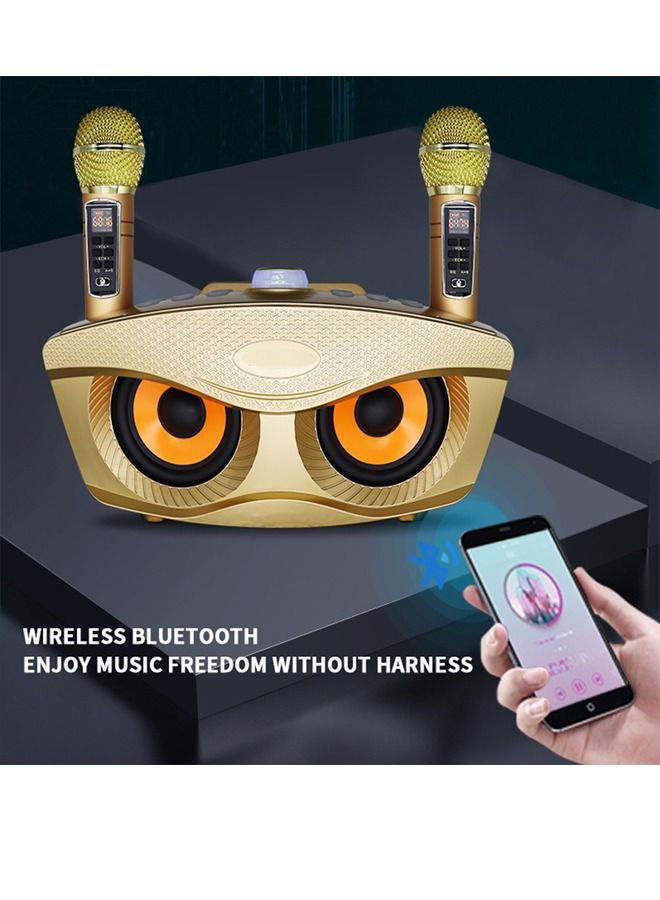 PADOM مشغل كاريوكي Sd306 بلس 30 واط مع مكبر صوت بلوتوث مزدوج 4.2 للعائلة مع ميكروفون ستيريو وصوت كبير مع 2 ميكروفون لاسلكي - Image 2