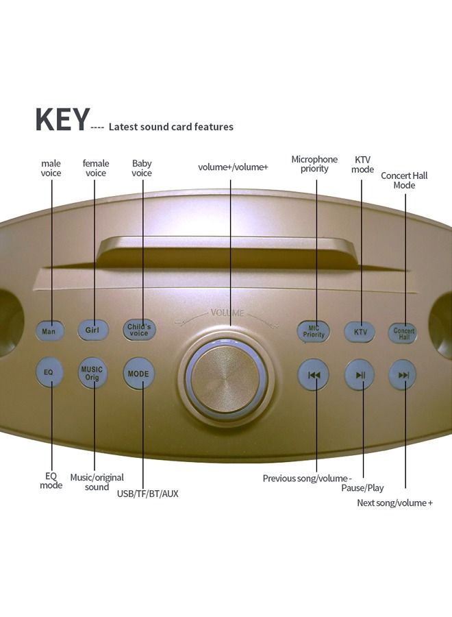 PADOM مشغل كاريوكي Sd306 بلس 30 واط مع مكبر صوت بلوتوث مزدوج 4.2 للعائلة مع ميكروفون ستيريو وصوت كبير مع 2 ميكروفون لاسلكي - Image 3