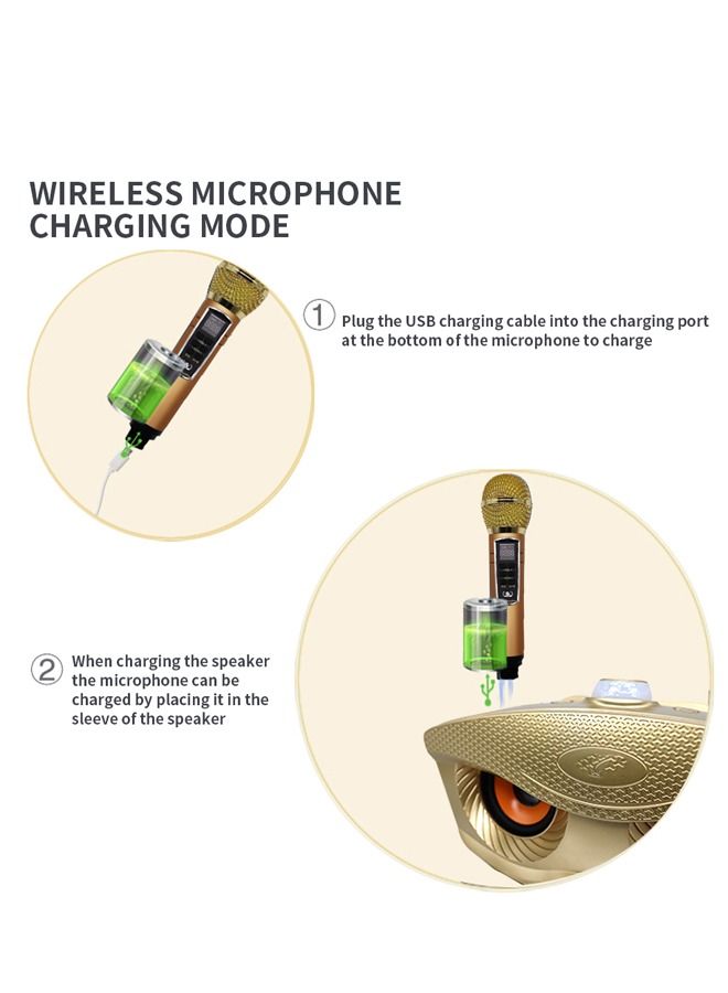 PADOM مشغل كاريوكي Sd306 بلس 30 واط مع مكبر صوت بلوتوث مزدوج 4.2 للعائلة مع ميكروفون ستيريو وصوت كبير مع 2 ميكروفون لاسلكي - Image 5