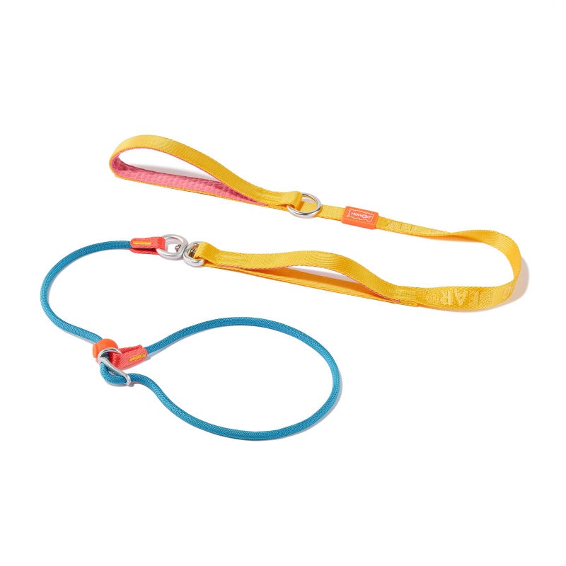 HOWGO Dog Slip Lead Leash Super Lighweight Dog Training and Walking 6ft Multi-Colored - Image 1