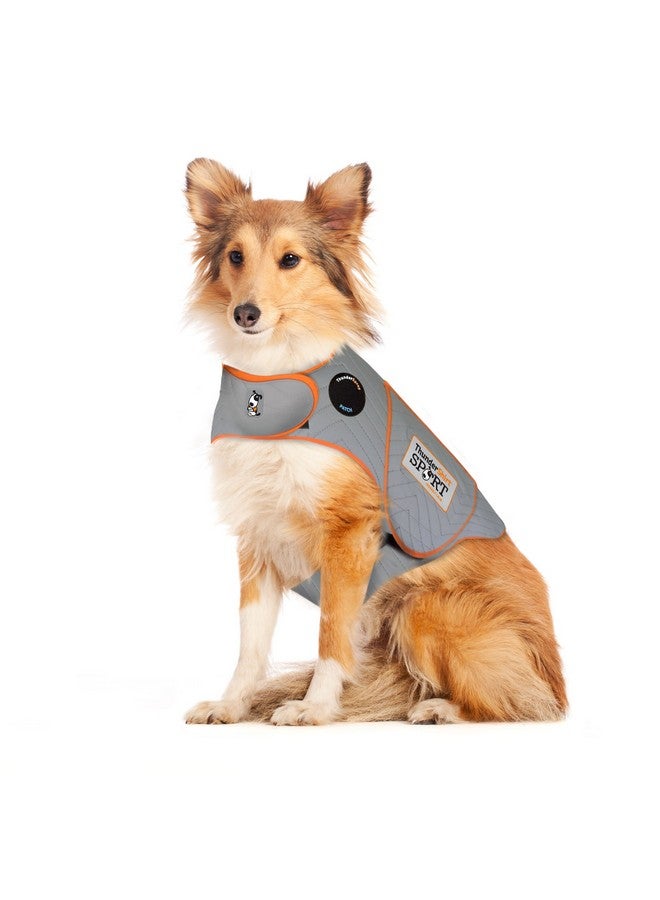 ThunderShirt For Dogs, Large, Platinum Sport  Dog Anxiety Relief Calming Vest - Image 1