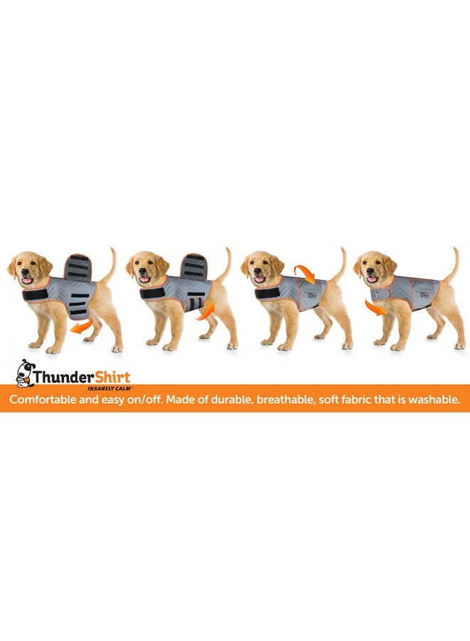 ThunderShirt For Dogs, Large, Platinum Sport  Dog Anxiety Relief Calming Vest - Image 4