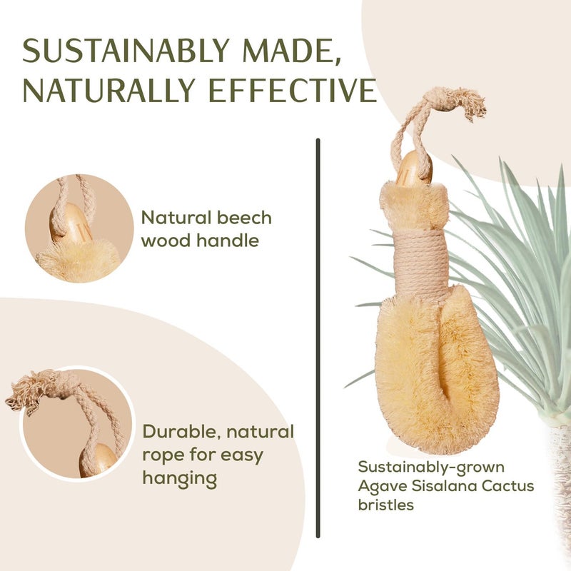 CSM Agave PlantBased Dry Body Brush Natural Firm Bristles for Lymphatic Drainage Cellulite Reduction Exfoliation Detox Circulation Skin Glow - Image 3