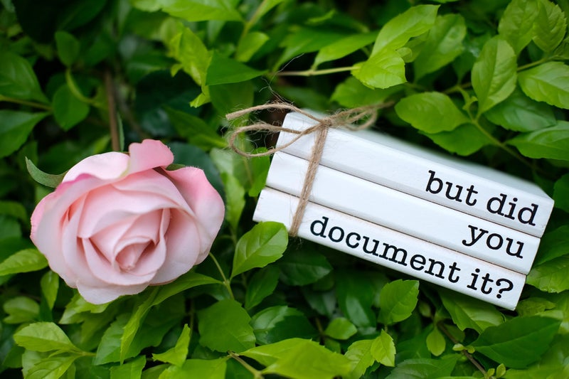 RUKEJUNE Funny Cute Office Desk Decor  Rustic Wooden Book Stack for Shelf Table Decoration - But Did You Document It Sign - Image 2