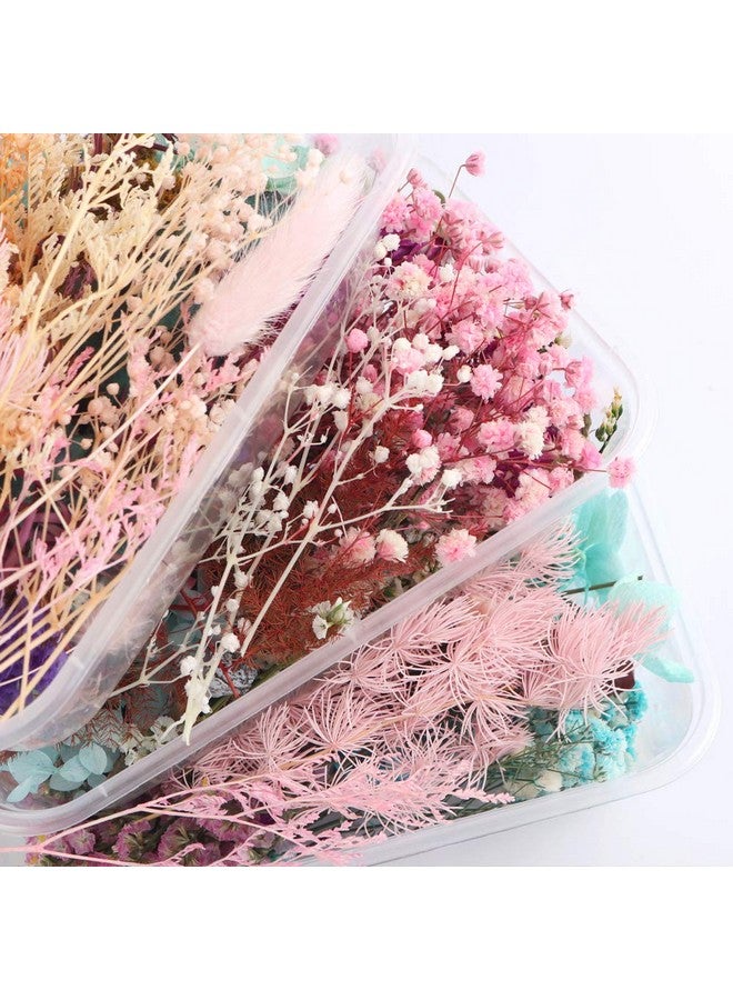 Sorrento Crafts 1 Box Real Natural Dried Flowers Multiple Colorful Assorted Flower For Diy Aromatherapy Candle Photo Frame Home Decoration Pendant Necklace Jewelry Filling Materials  - Image 4