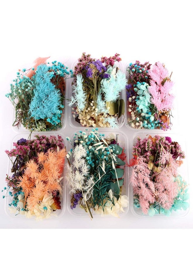 Sorrento Crafts 1 Box Real Natural Dried Flowers Multiple Colorful Assorted Flower For Diy Aromatherapy Candle Photo Frame Home Decoration Pendant Necklace Jewelry Filling Materials  - Image 1